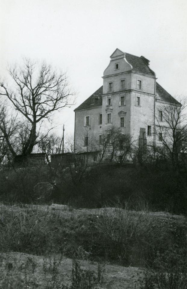 Zamek stary w Płotach, ok. 1965 r.