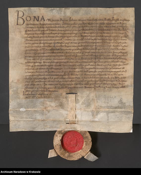 Картинка из новостей "Nowości SwA - luty 2025"