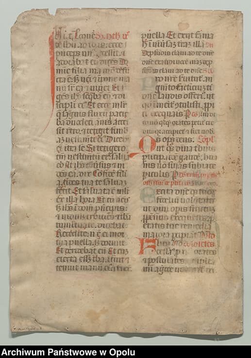 Picture from news "Nowości SwA - czerwiec 2025"